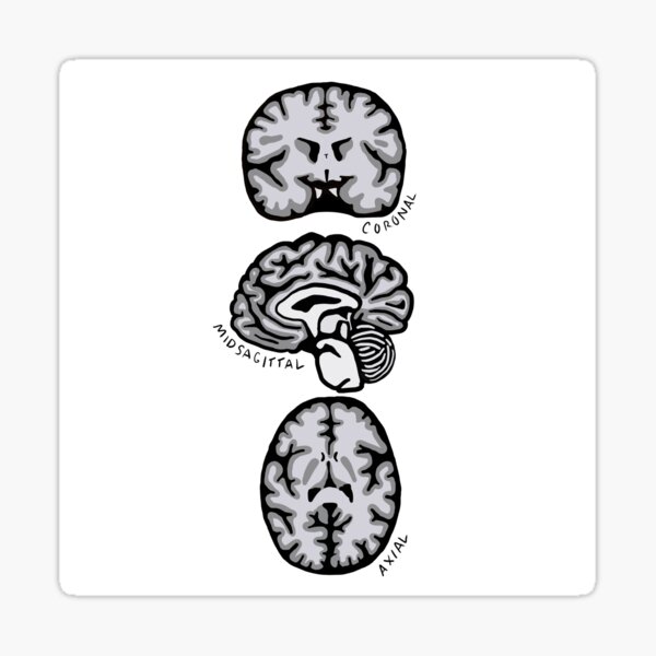 Brain Planes Sticker