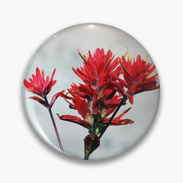 Item preview, paintbrush wildflowers, Johnston's Ridge 3 designed and sold by Dawna Morton.