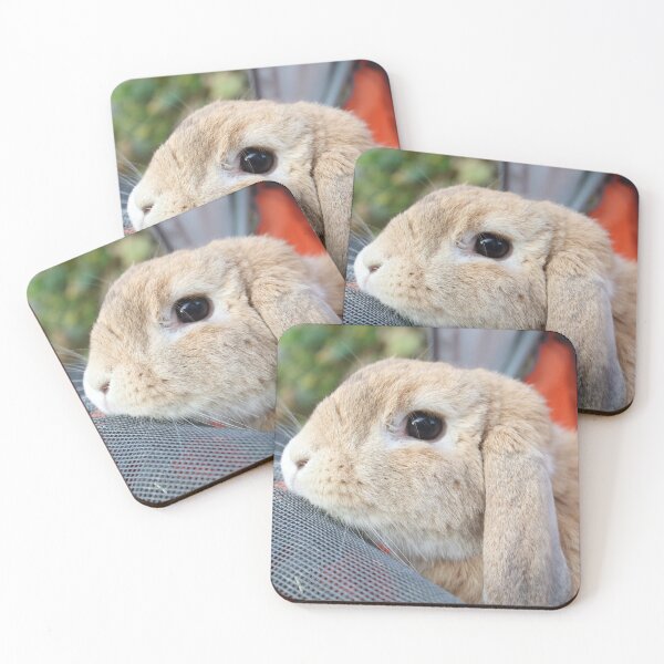 Item preview, Bunny Rabbit Photography By Jennifer Star designed and sold by JenniferStar.