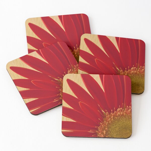 Item preview, Thinking Of You Card - Gazania  designed and sold by Sandra Foster.