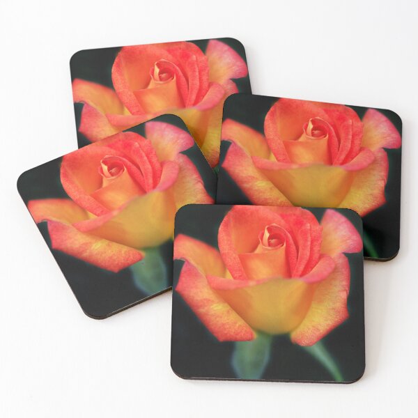 Item preview, Beautiful rose on black background designed and sold by olena2552.