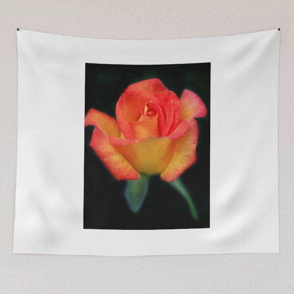 Item preview, Beautiful rose on black background designed and sold by olena2552.