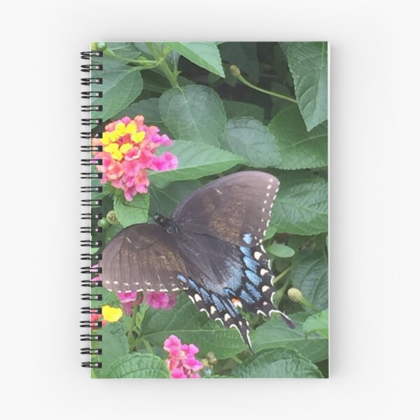 Item preview, Spicebush Swallowtail (Papilio Troilus) designed and sold by zwrr16.