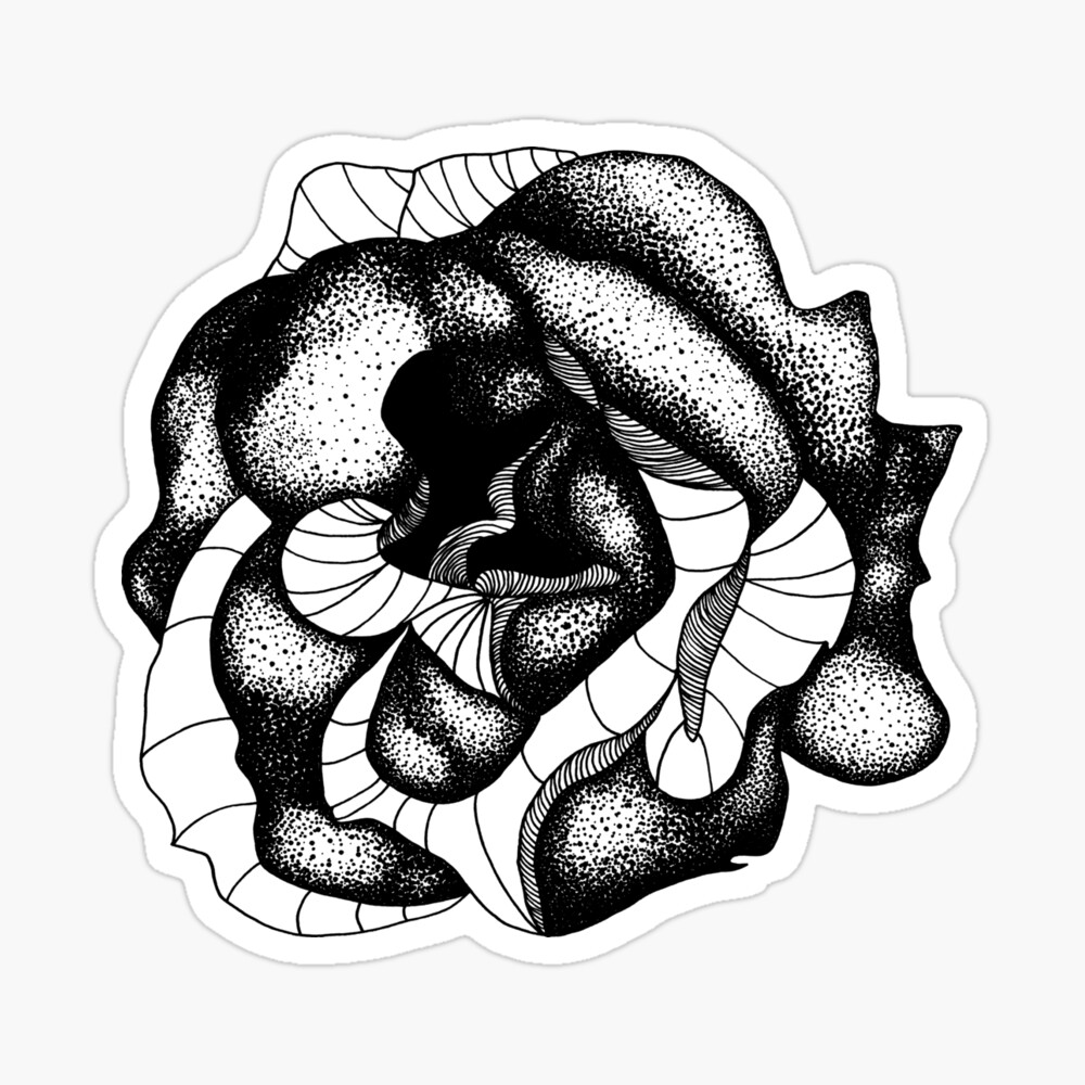 rose black pen and ink stippling fine lined digital floral wildflower design poster by sheelasheek redbubble rose black pen and ink stippling fine lined digital floral wildflower design poster by sheelasheek redbubble