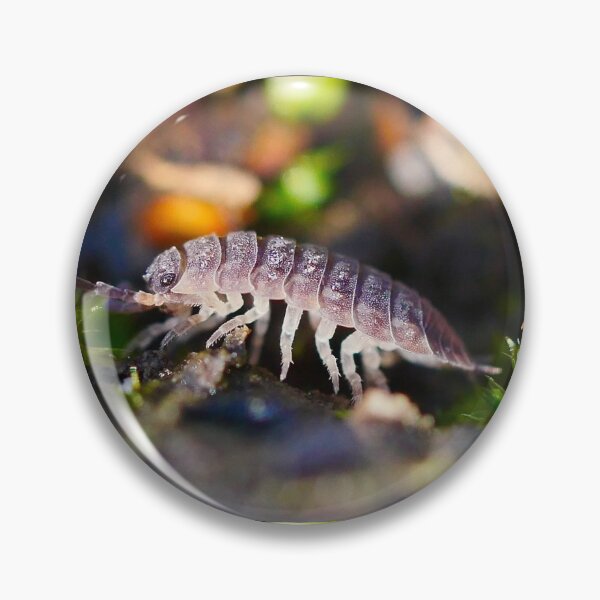 Item preview, Woodlouse designed and sold by MidnightHoots.