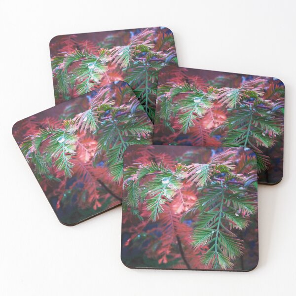 Item preview, Deciduous Redwood designed and sold by The Scenic Route.