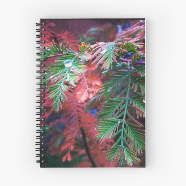 Item preview, Deciduous Redwood designed and sold by The Scenic Route.