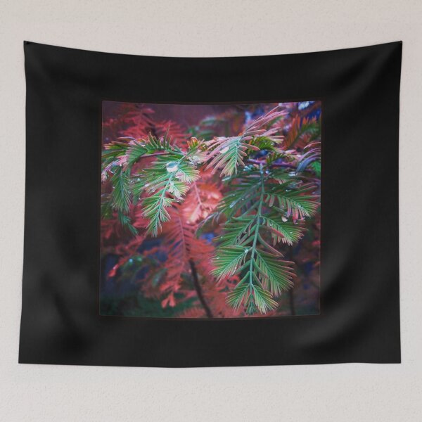 Item preview, Deciduous Redwood designed and sold by The Scenic Route.