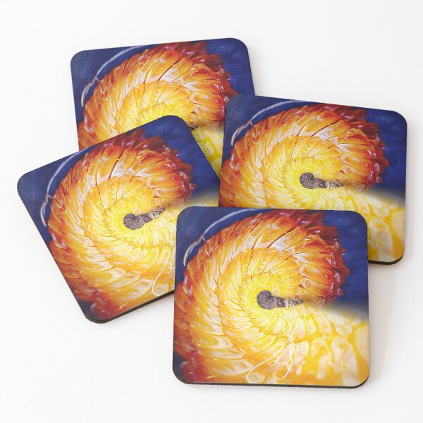 Item preview, Swirls designed and sold by The Scenic Route.