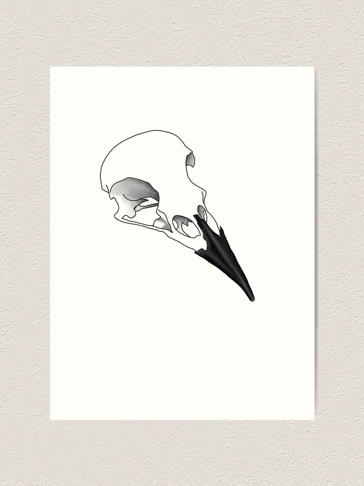 Raven Skull Art Print By Igraine Art Sfx Redbubble