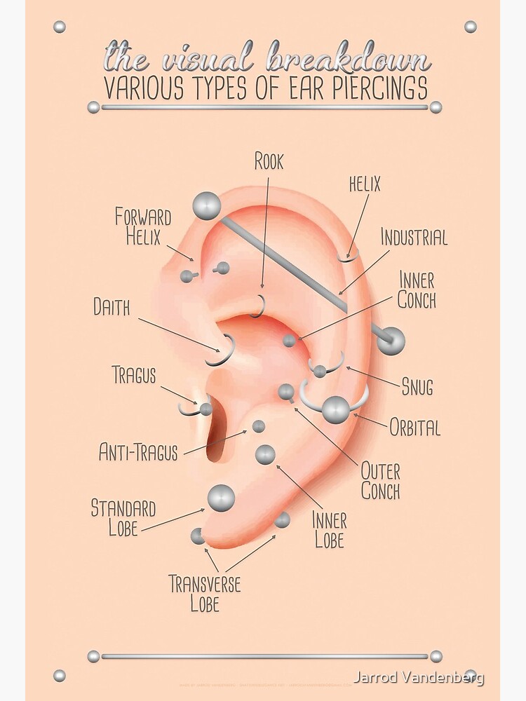 Ear Piercing Chart Art Board Print By Jarrod44 Redbubble