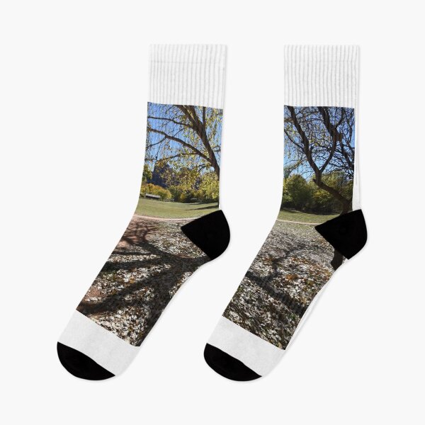 Item preview, Fall Trees at Red Rock Crossing in Sedona, Arizona USA designed and sold by lissandra900.