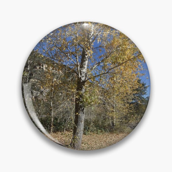 Item preview, Fall Trees in Sedona, Arizona USA designed and sold by lissandra900.