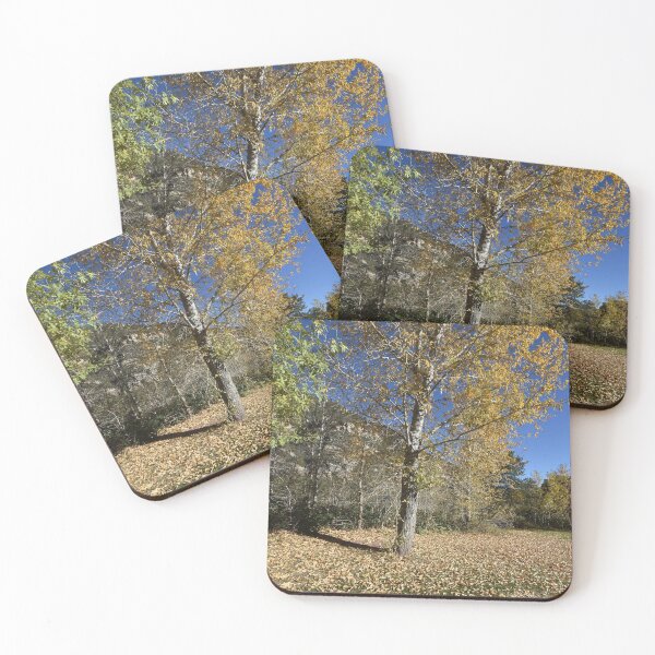 Item preview, Fall Trees in Sedona, Arizona USA designed and sold by lissandra900.
