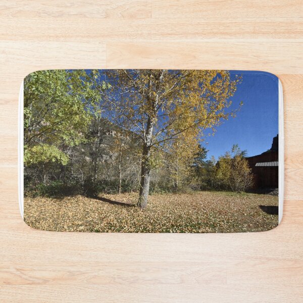 Item preview, Fall Trees in Sedona, Arizona USA designed and sold by lissandra900.