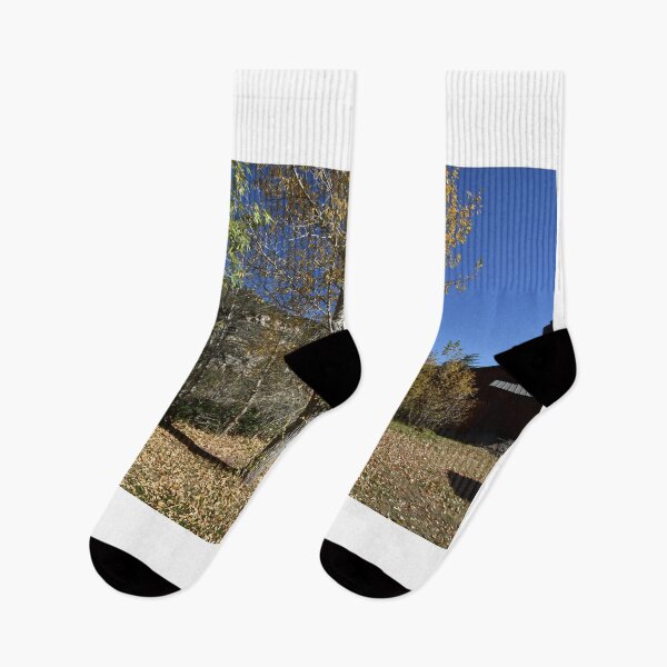 Item preview, Fall Trees in Sedona, Arizona USA designed and sold by lissandra900.