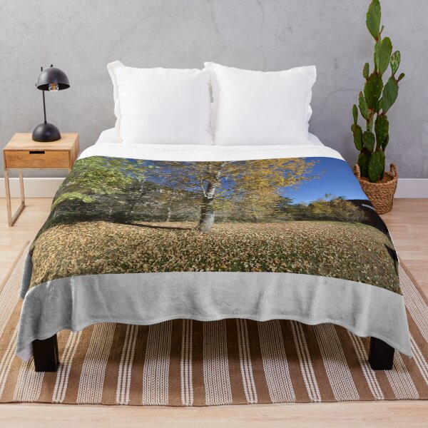 Item preview, Fall Trees in Sedona, Arizona USA designed and sold by lissandra900.