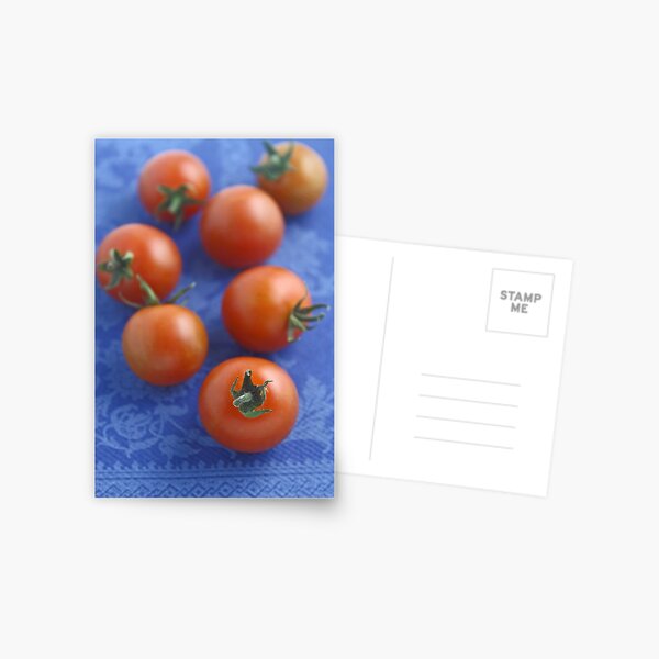 Tomatoes Postcard