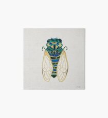 Cicada Art Board