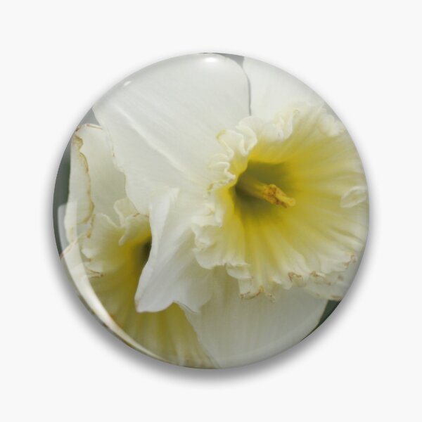 Item preview, White and Yellow Daffodils, Early Spring Flowers designed and sold by Anna Lemos.