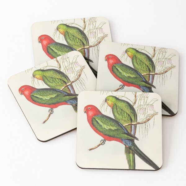 Item preview, John Gould King Parrot designed and sold by upoutandaway.