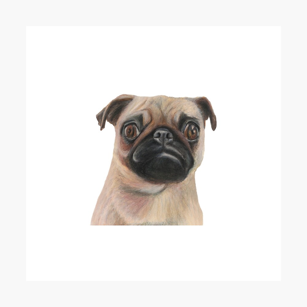 Pug Drawing Art Pug Dog Gift Pug Dog Artwork 2 Pug Kids Clothes Poster By Rachaelcurryart Redbubble