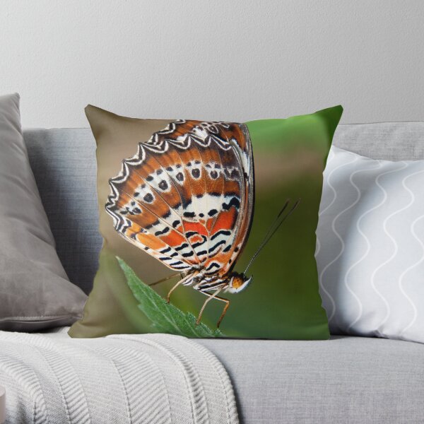 Orange Lacewing, Northern Territory, Australia Throw Pillow