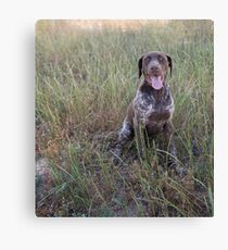 Beautiful Rosie... Canvas Print