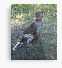 Miss Rosie.. Metal Print