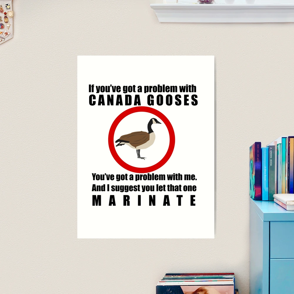 Canada goose hotsell quote quiz