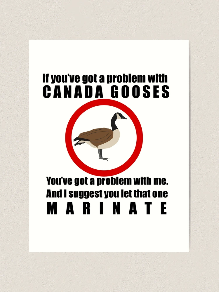 Letterkenny canadian 2025 goose quotes