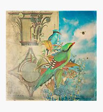 The Birds and The Bees Photographic Print