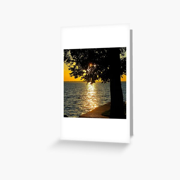 Liquid Gold Greeting Card