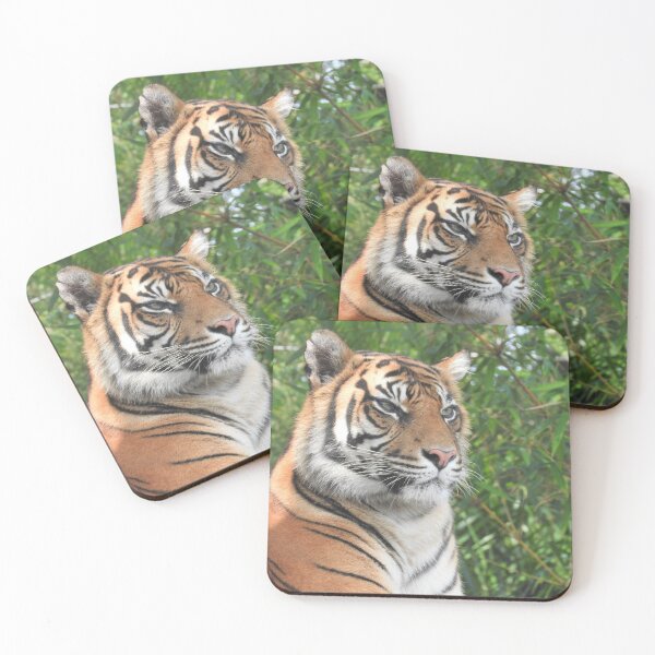 Item preview, Sumatran Tiger designed and sold by kirstybush.
