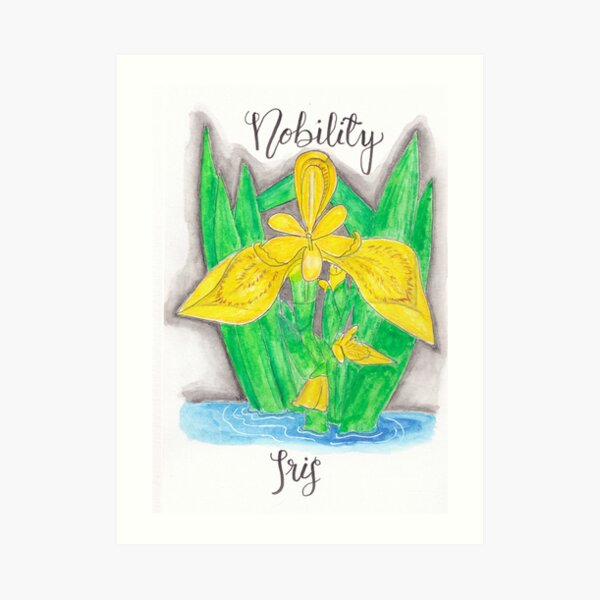 Yellow Iris - Nobility Art Print