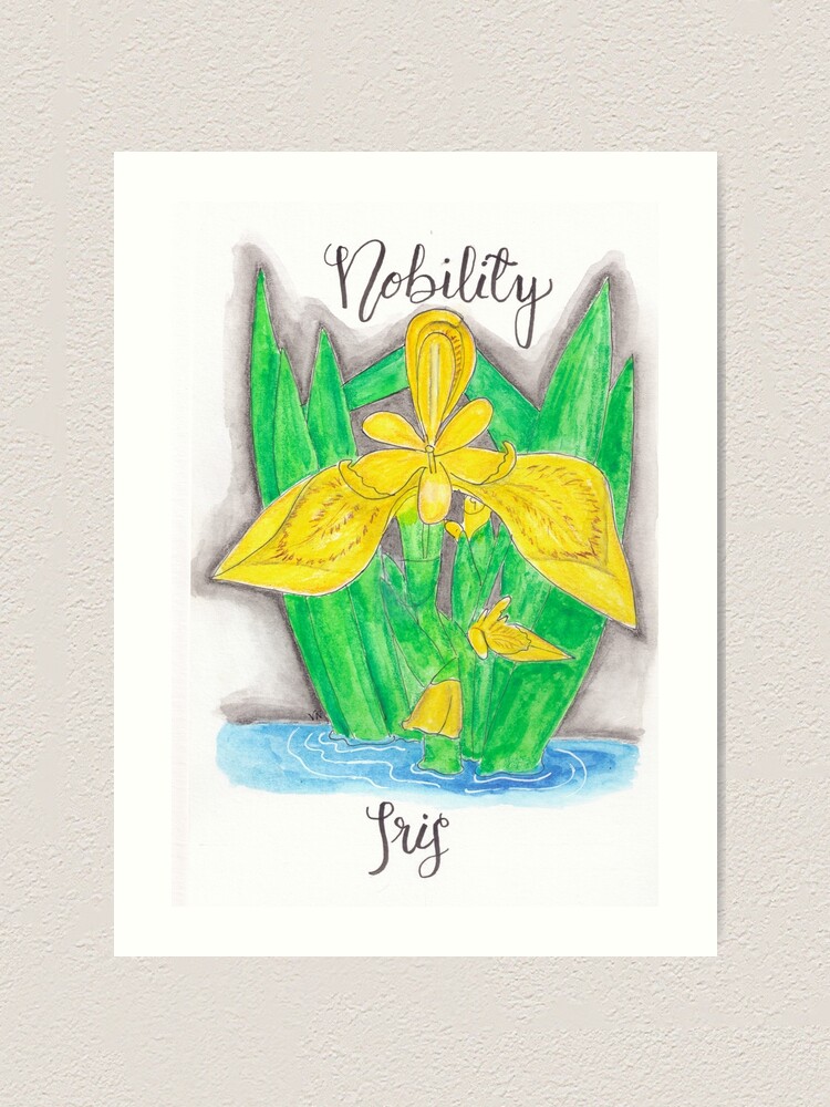 Alternate view of Yellow Iris - Nobility Art Print