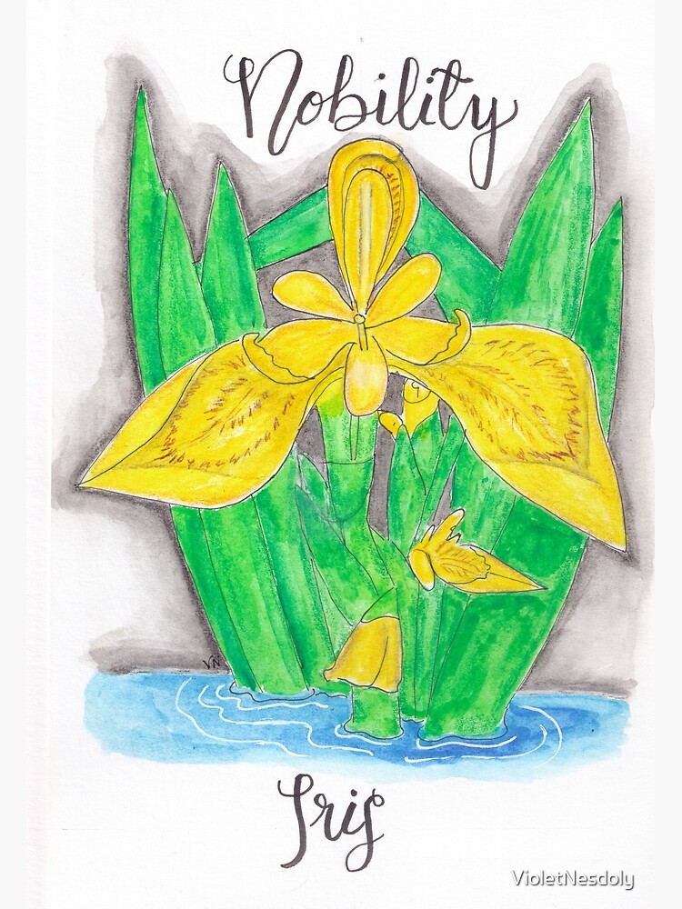 Yellow Iris - Nobility by VioletNesdoly