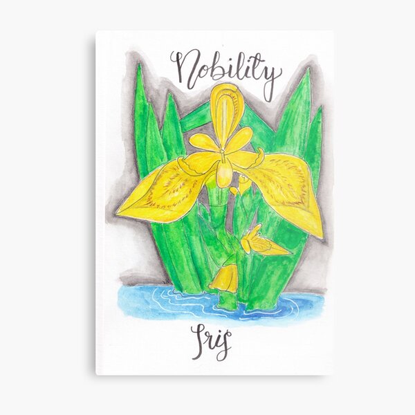 Yellow Iris - Nobility Metal Print