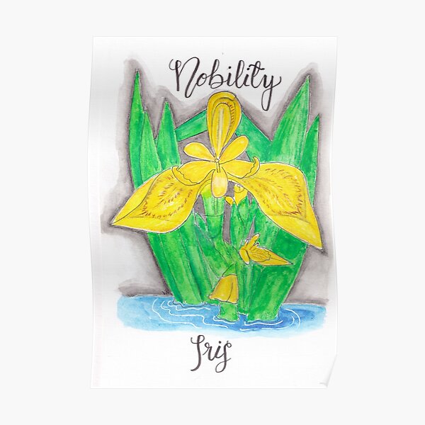 Yellow Iris - Nobility Poster
