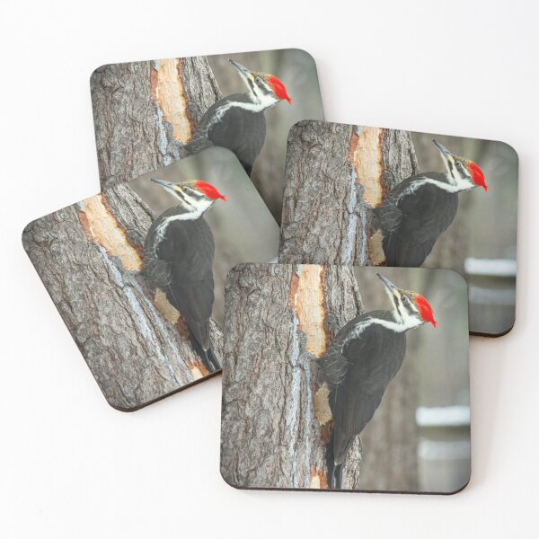 Item preview, Piletated Woodpecker designed and sold by Robert Alsop.