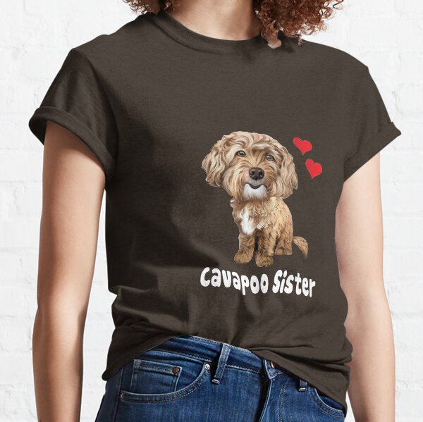 cavapoo stuff