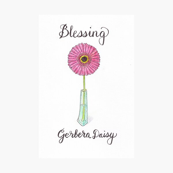 Gerbera Daisy - Blessing Photographic Print