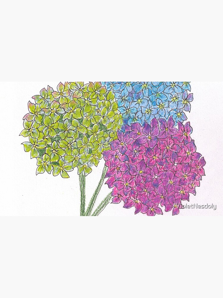 Hydrangea - Gratitude by VioletNesdoly