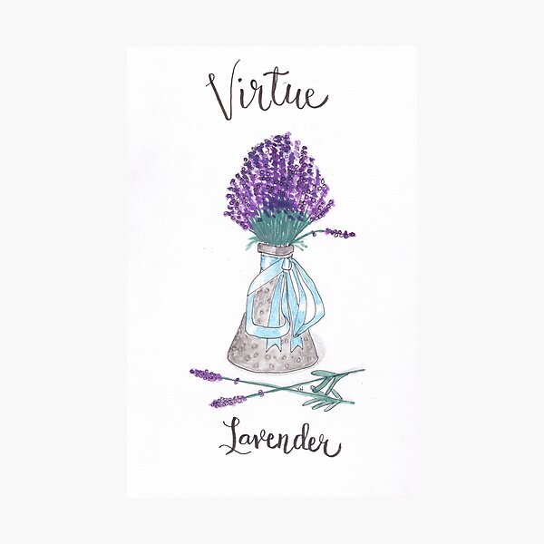 Lavender - Virtue Photographic Print