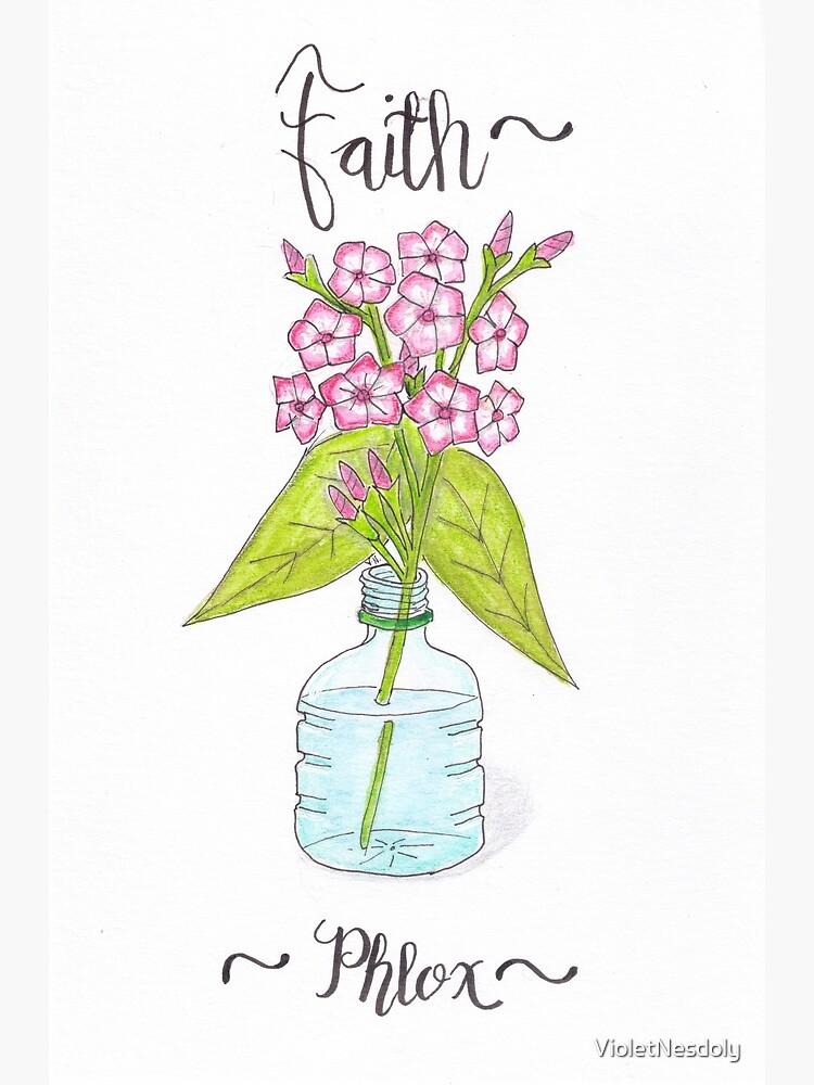 Phlox - Faith by VioletNesdoly
