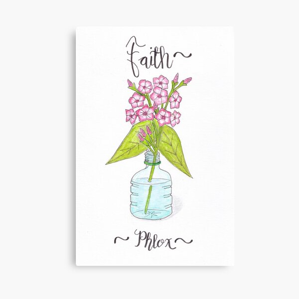 Phlox - Faith Canvas Print