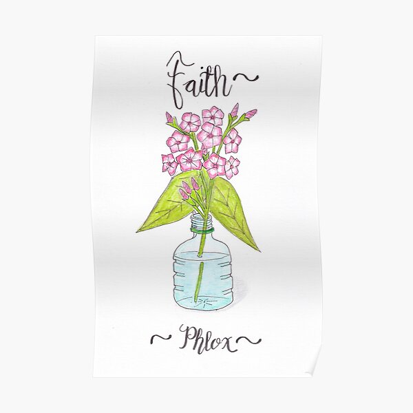 Phlox - Faith Poster