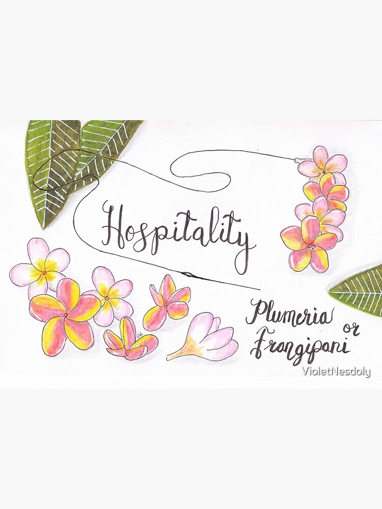 Plumeria or Frangipani - Hospitality by VioletNesdoly