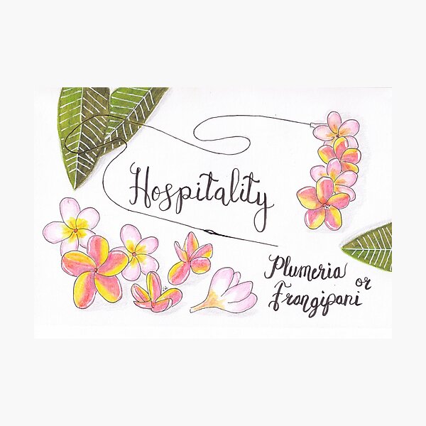 Plumeria or Frangipani - Hospitality Photographic Print