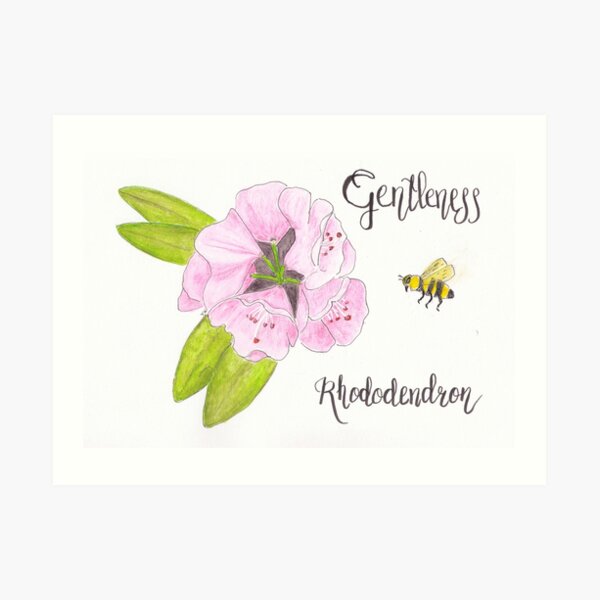 Rhododendron - Gentleness Art Print